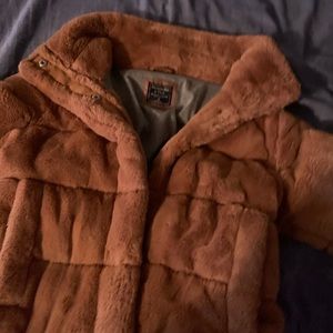Abercrombie, medium and brown